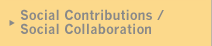 Social Contributions / Social Collaboration