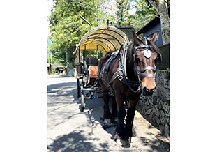 辻馬車での撮影の様子<br />(幌の上部にカメラ設置)