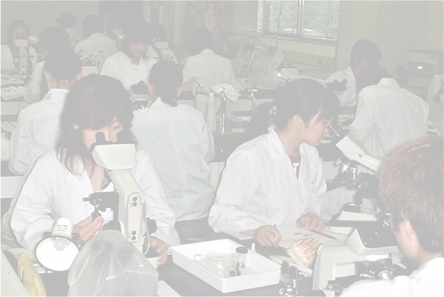 医学部