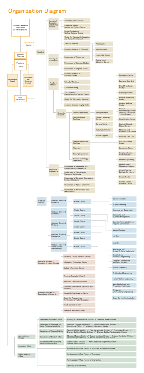 Organization Diagram