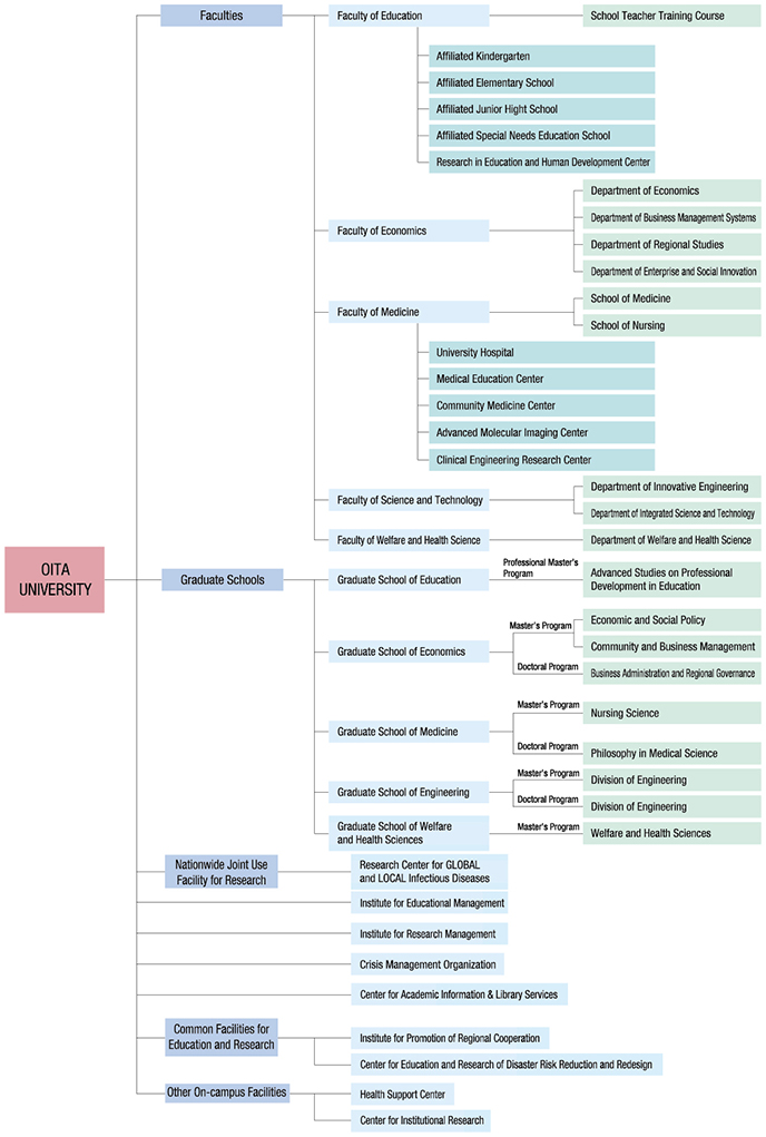 Organization Diagram